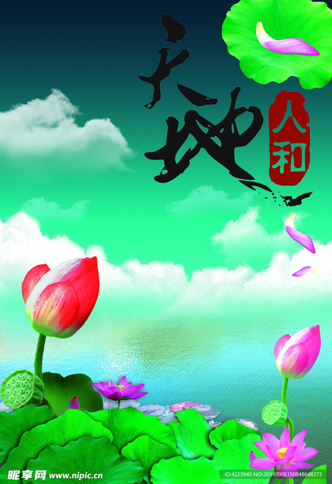 荷花