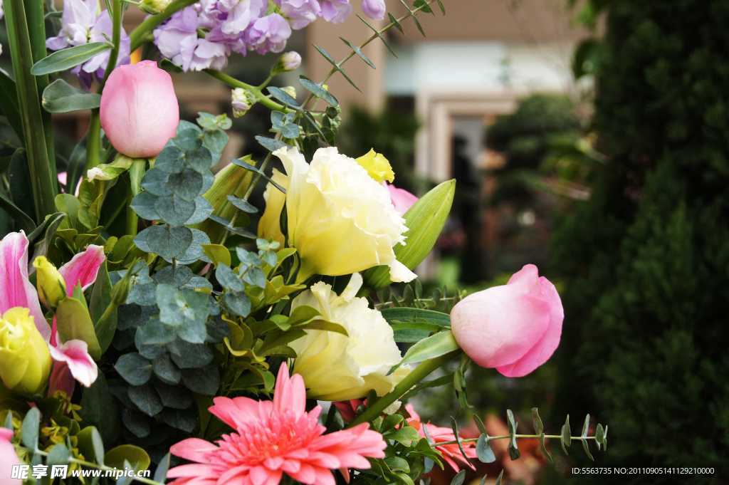花草
