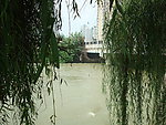温江河