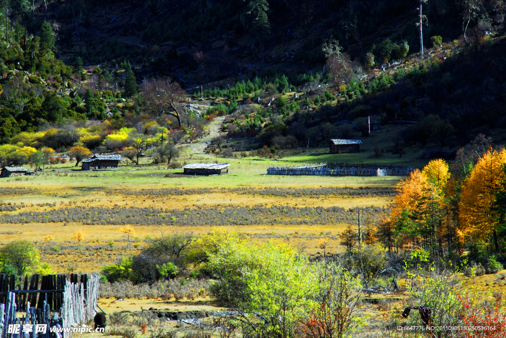 高原村庄