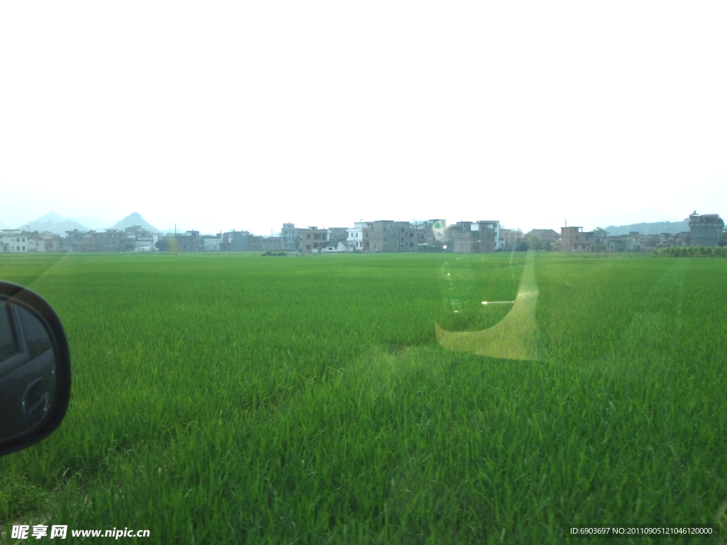 田野
