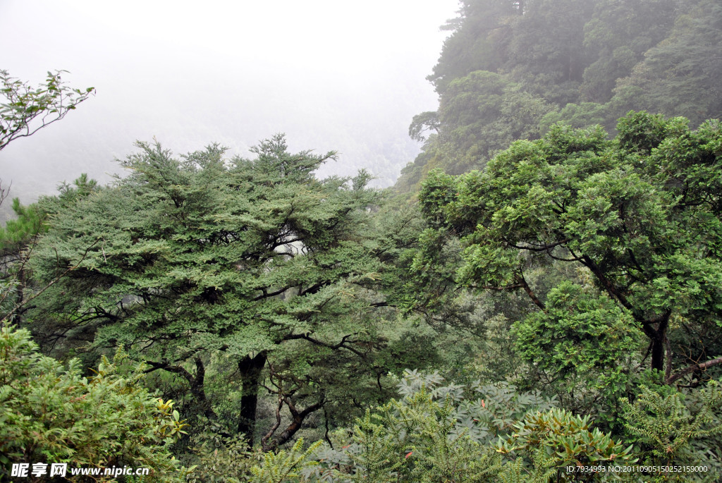 山水