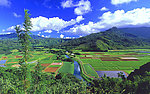 田园风光