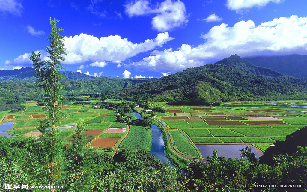 田园风光