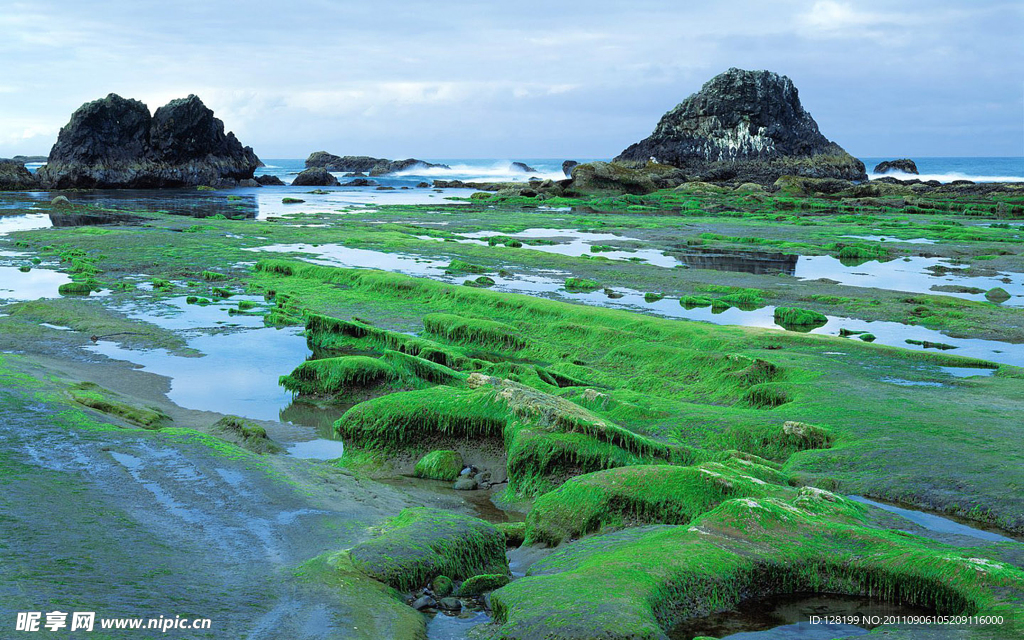 美丽海景