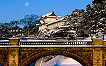 雪中美景