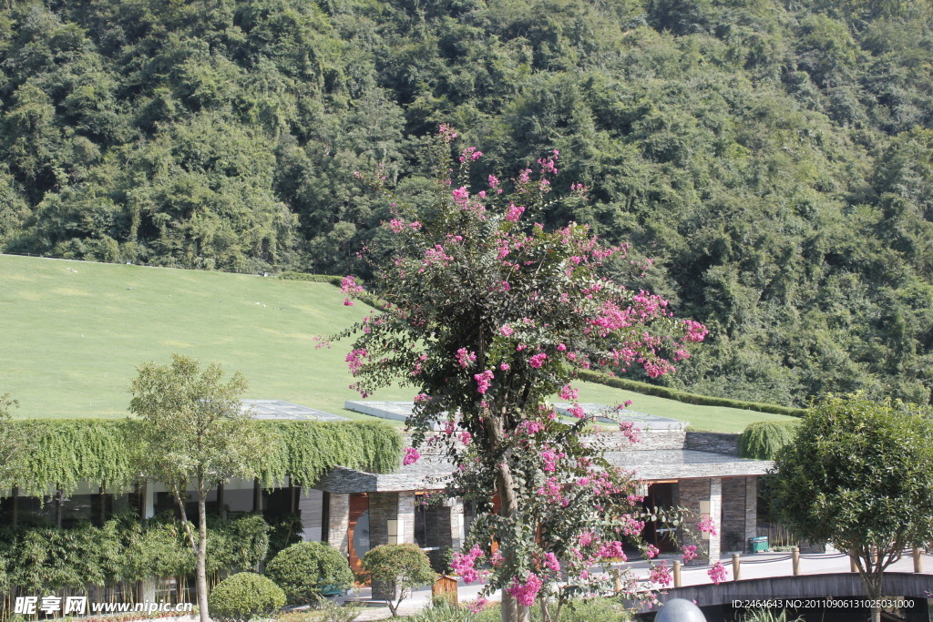 张家界