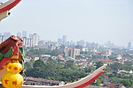 城市