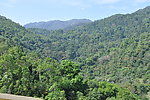 青山