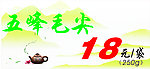五峰毛尖