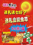 虫草宣传海报