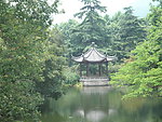 观鱼港公园