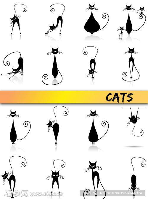黑猫