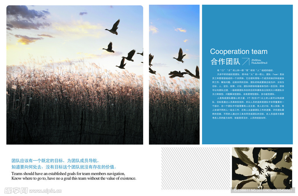 企业团队合作画册