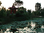 荷塘景色