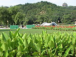 吉林北山