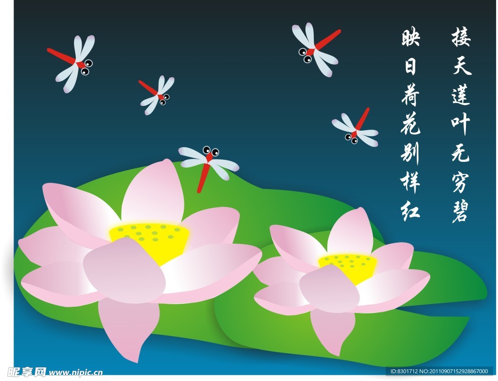 荷花
