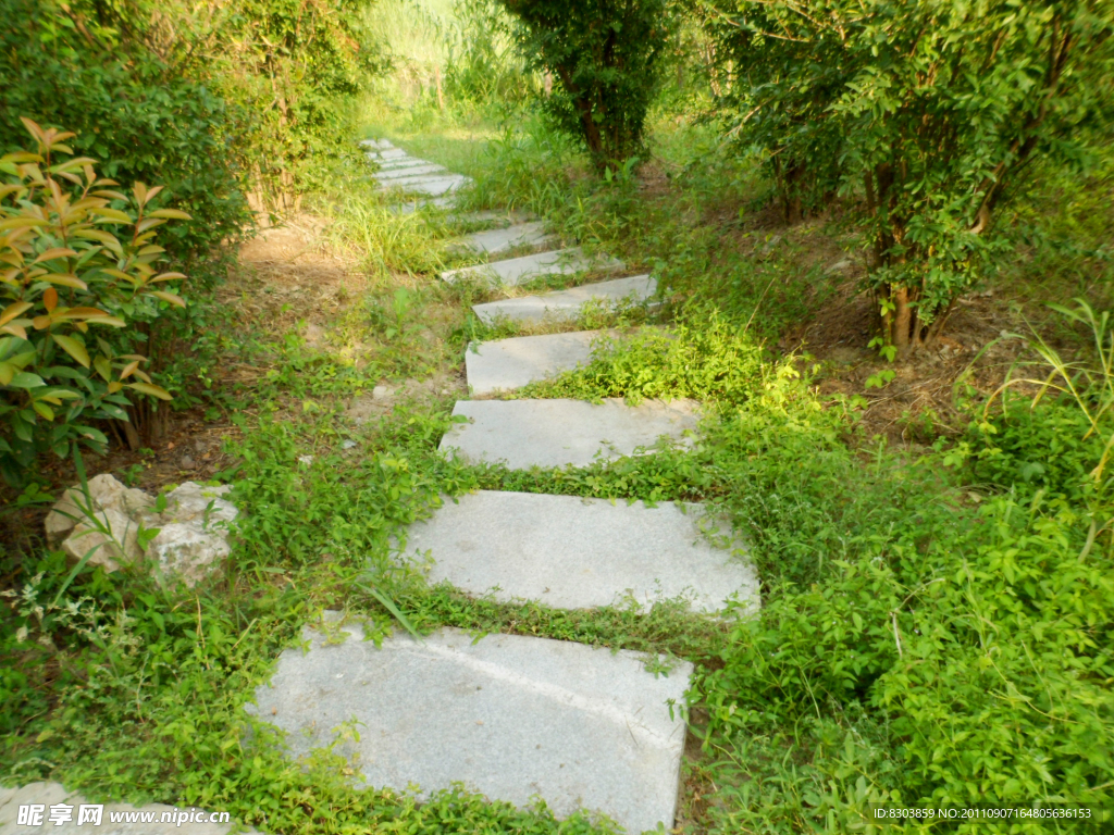 小道 楼梯