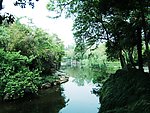 河边风景