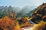 山路(非高清)