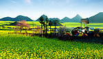农村美景
