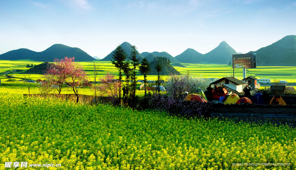 农村美景