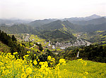 农村美景
