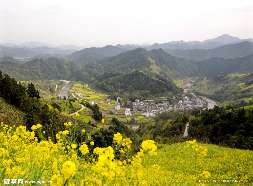 农村美景