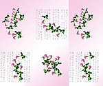 玫瑰