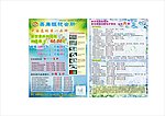 眼镜宣传单