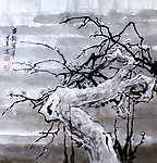 古韵芳华
