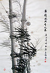 劲竹