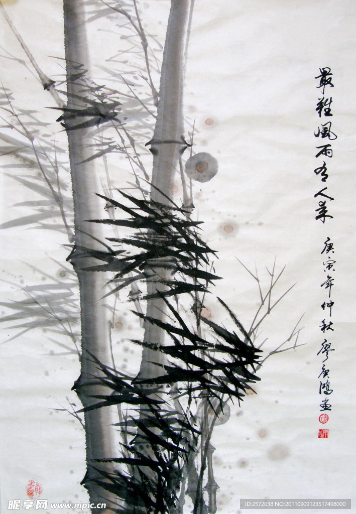 劲竹