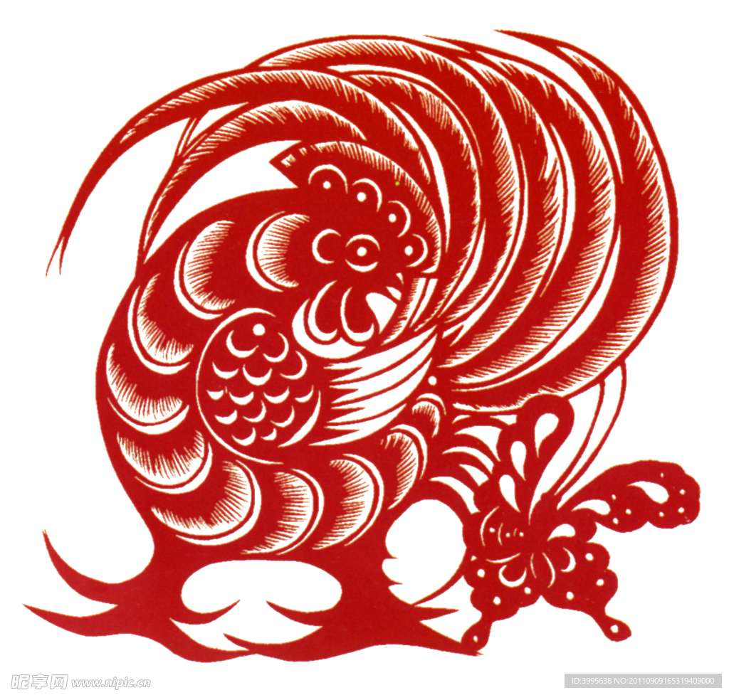 鸡与蝶