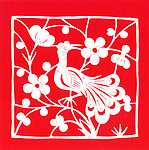 孔雀梅花
