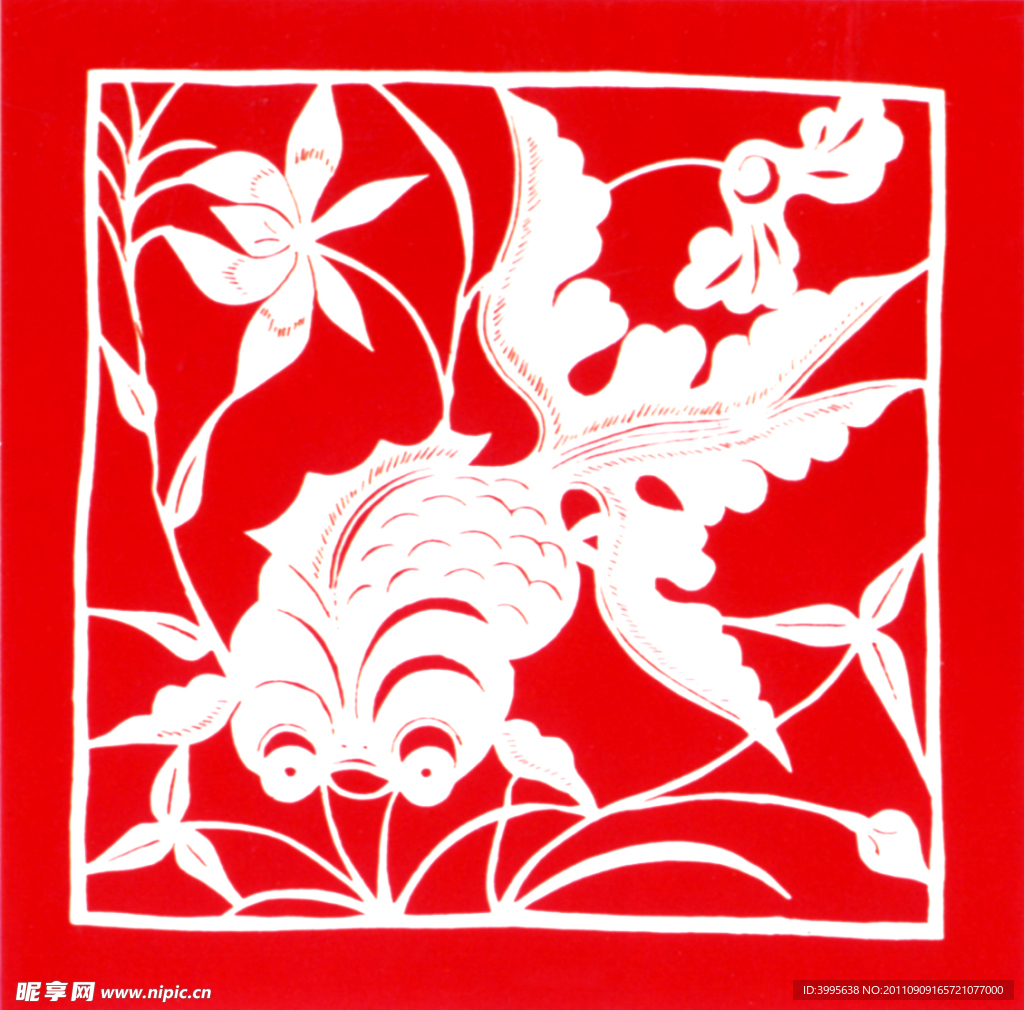 莲花金鱼
