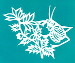 蝈蝈