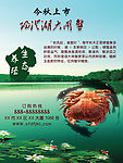 阳澄湖大闸蟹海报