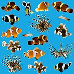 海底生物