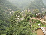 丛林 山川