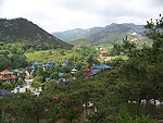 树林 房屋