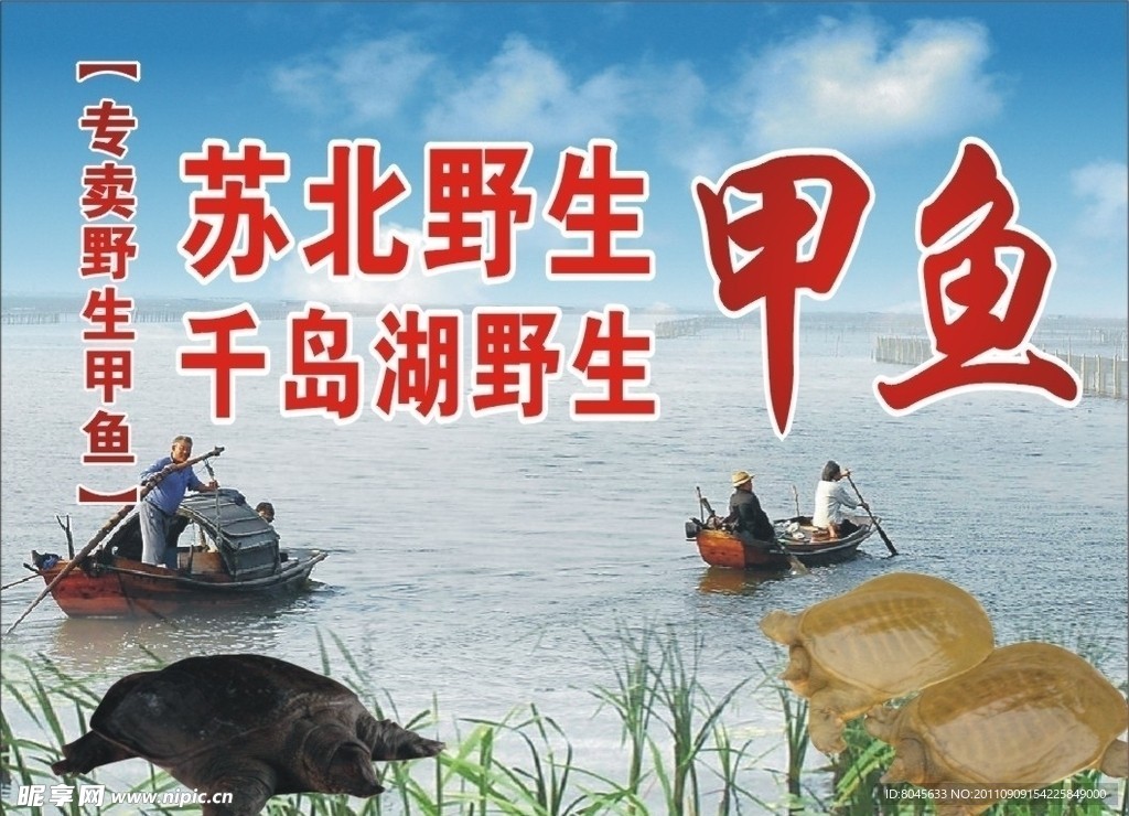 甲鱼