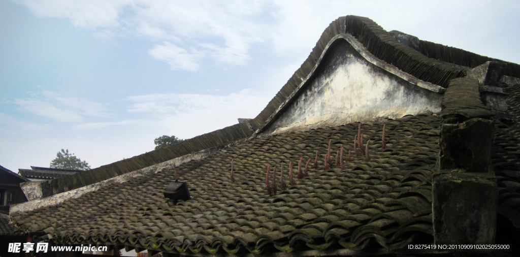 屋顶
