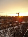 夕阳红