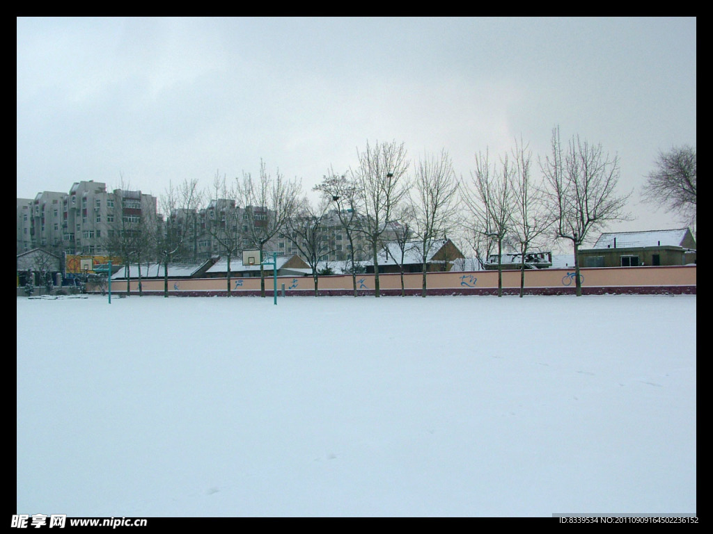 雪景