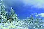冰雪世界 雪山风景