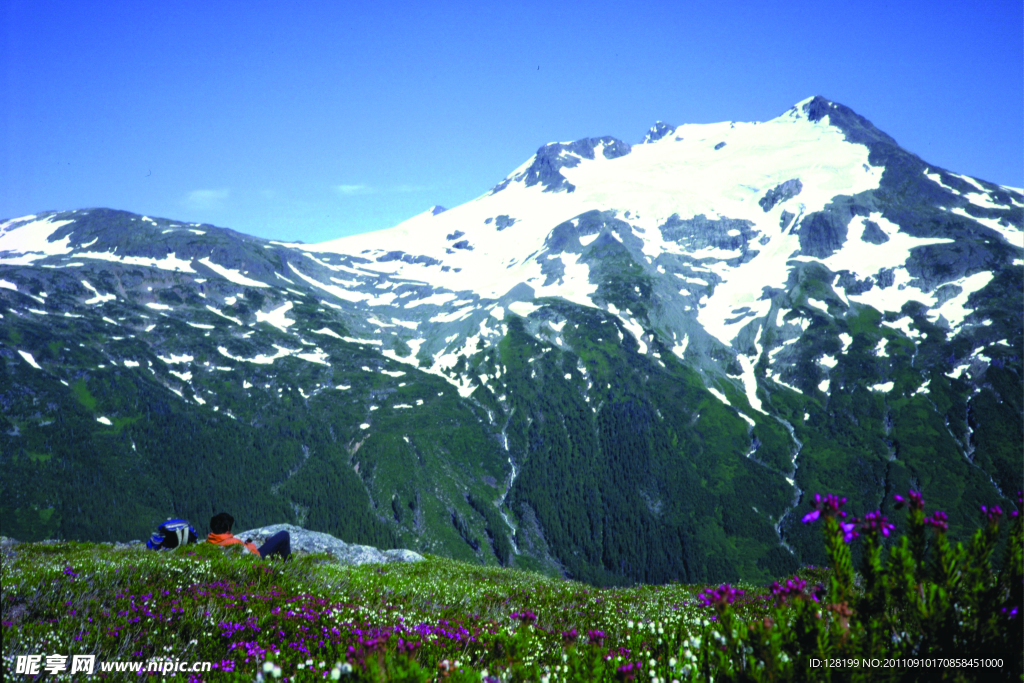 冰雪世界 雪山风景
