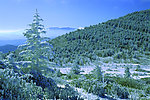 冰雪世界 雪山风景