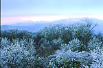 冰雪世界 雪山风景