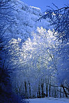 冰雪世界 雪山风景